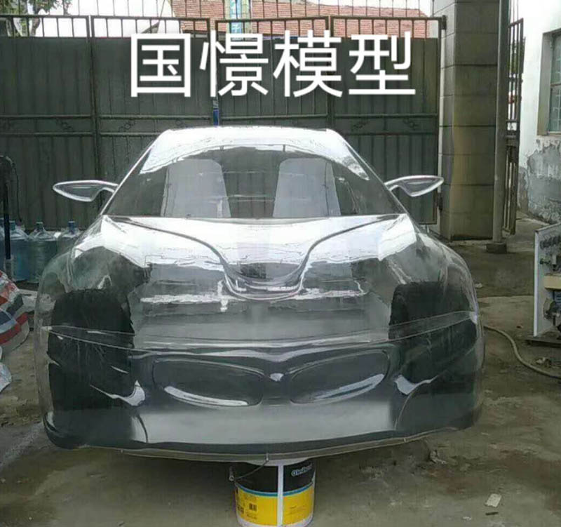 宜良县透明车模型